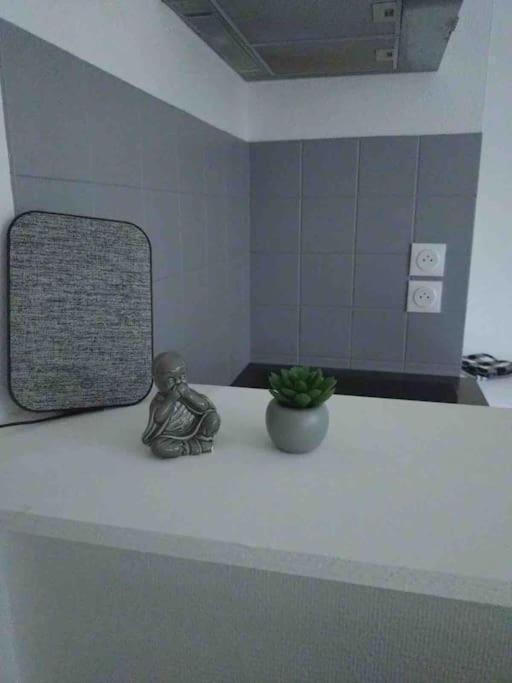 Apartment Muse 4 Couchages *